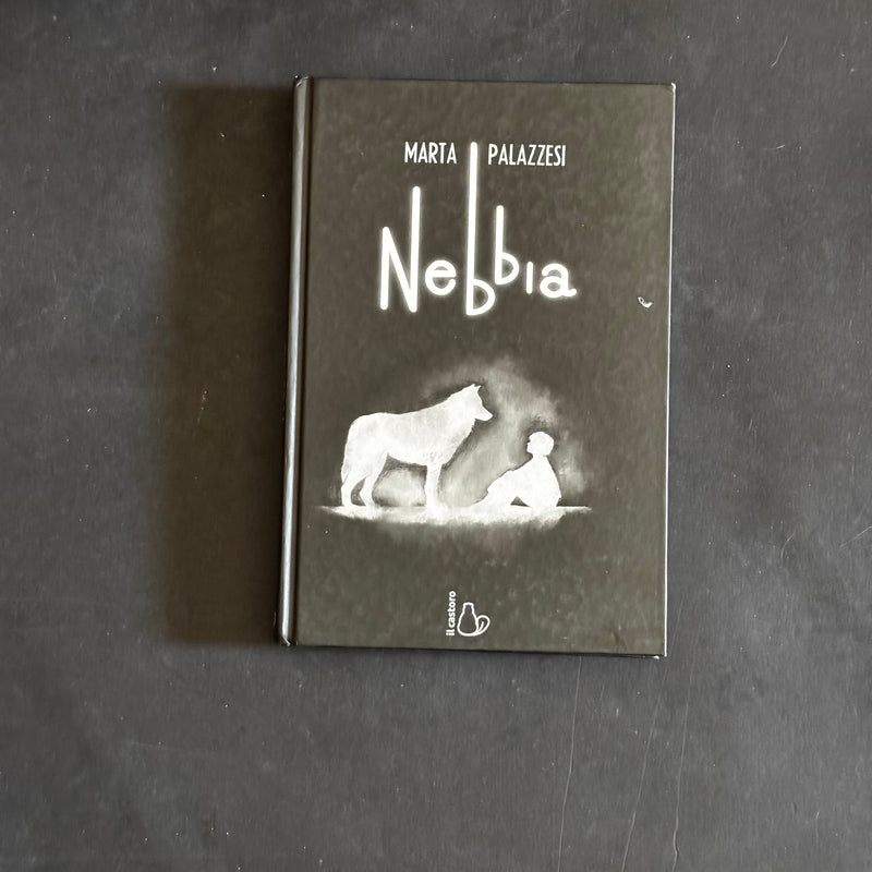 Nebbia