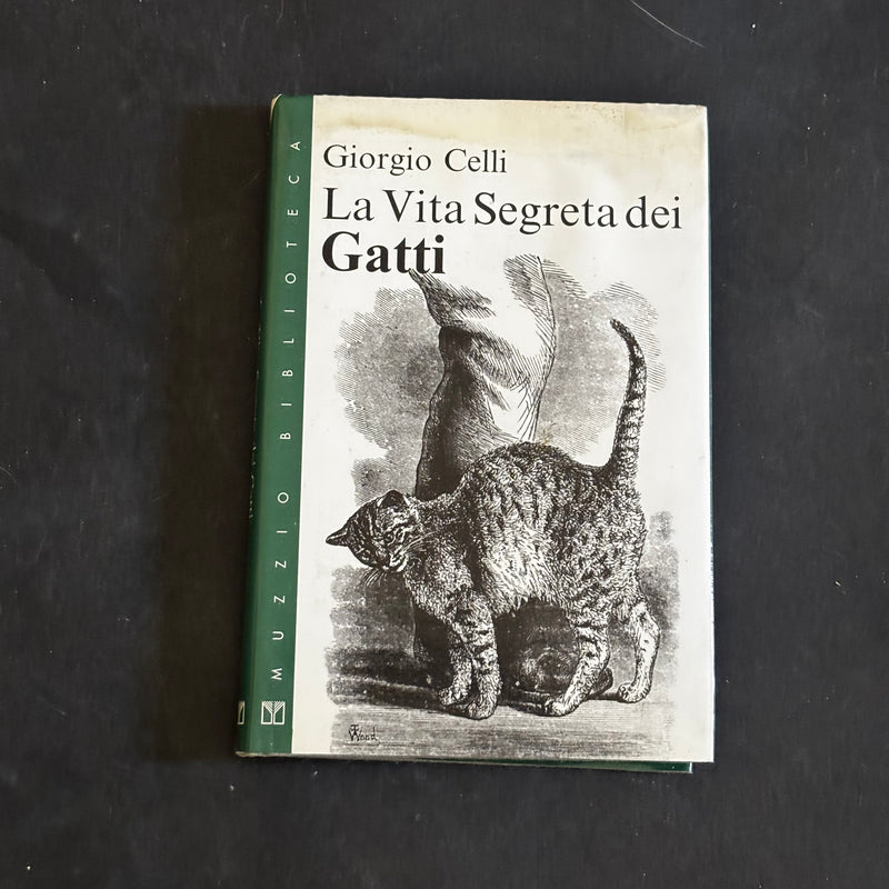 La vita segreta dei gatti