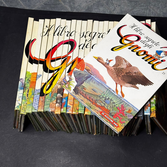 Il libro segreto degli gnomi