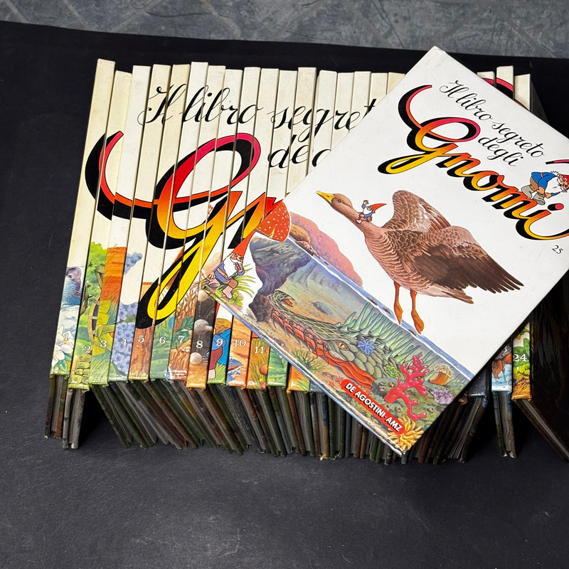 Il libro segreto degli gnomi