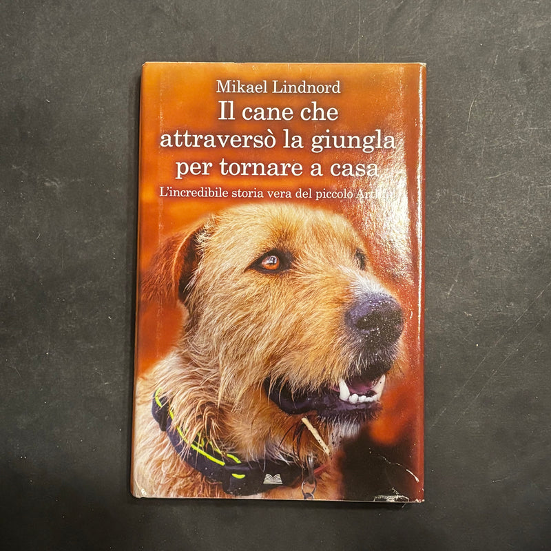 Il cane che attraversò la giungla per tornare a casa