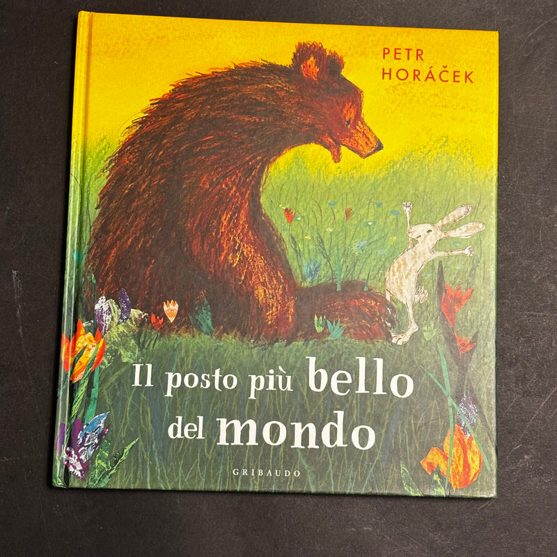 Il posto più bello del mondo