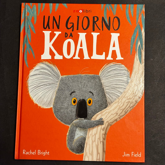 Un giorno da Koala