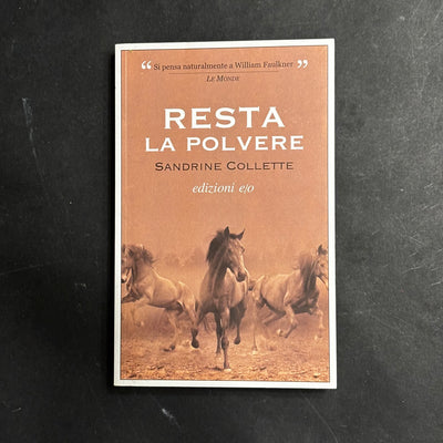 Resta la polvere