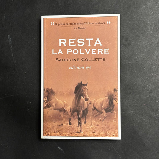 Resta la polvere
